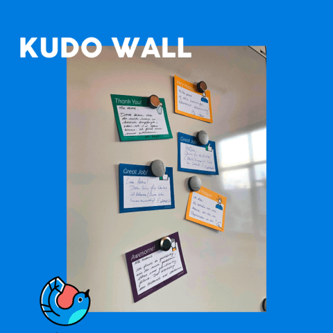 kudo-wall